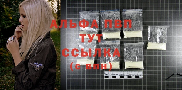 индика Абдулино