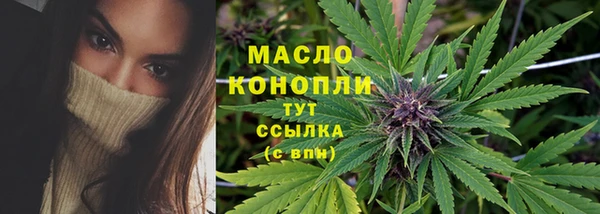 индика Абдулино
