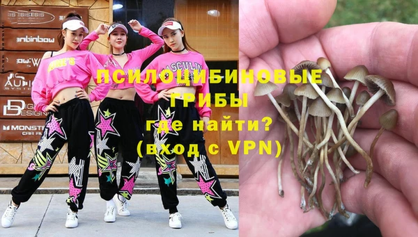 ГАЛЛЮЦИНОГЕННЫЕ ГРИБЫ Ветлуга